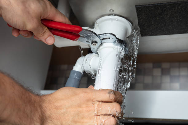 Best Local water damage restoration  in Hartland, WI