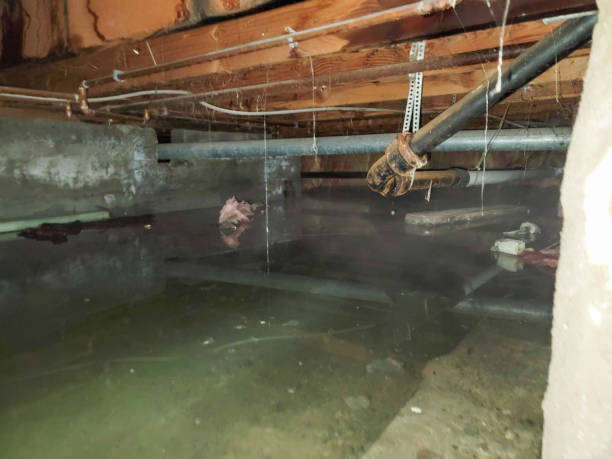Best Flooded house restoration  in Hartland, WI