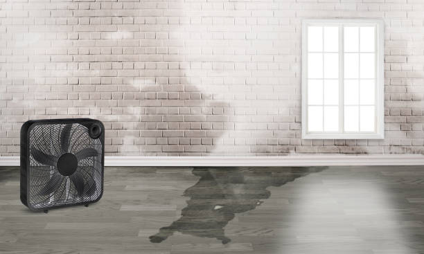 Water damage restoration insurance claims in Hartland, WI