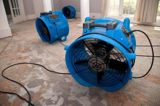  Hartland, WI Water damage restoration Pros