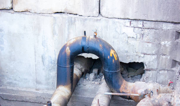 Best Local water damage restoration  in Hartland, WI