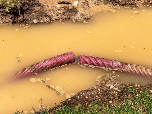 Best Residential water damage restoration  in Hartland, WI