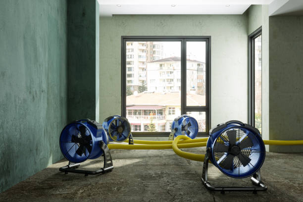 Best Water damage contractors near me  in Hartland, WI